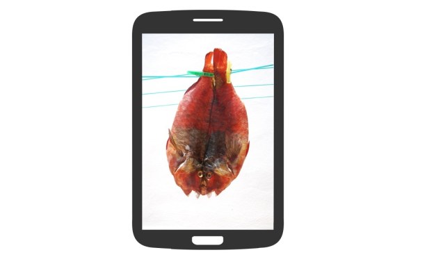 fotografía gastronómica